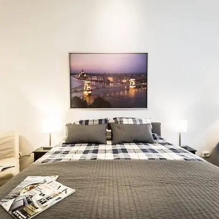 Perfectly Located, Renewed And Cozy Appartement