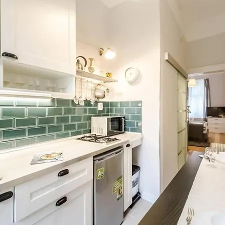 Perfectly Located, Renewed And Cozy 公寓 布达佩斯
